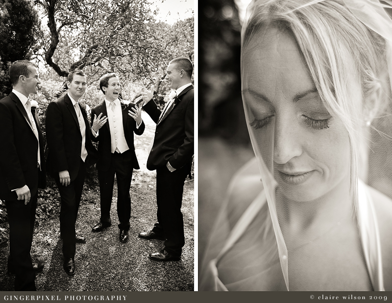 wedding photography ireland